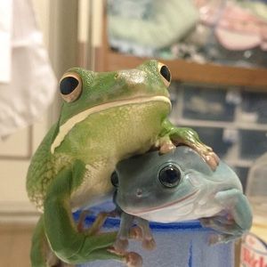 Meet your Posher, Jorge